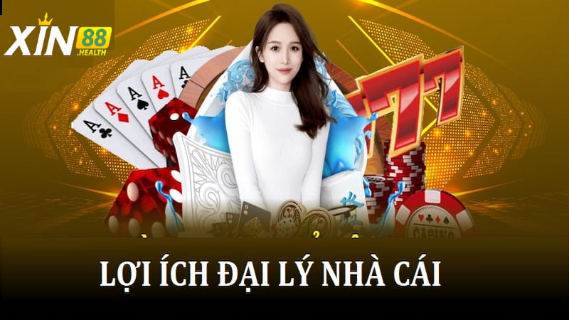 Giới thiệu về Đại Lý Xin88