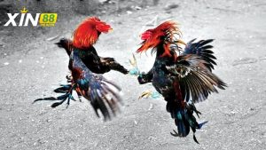 Lối đánh thông minh, linh hoạt